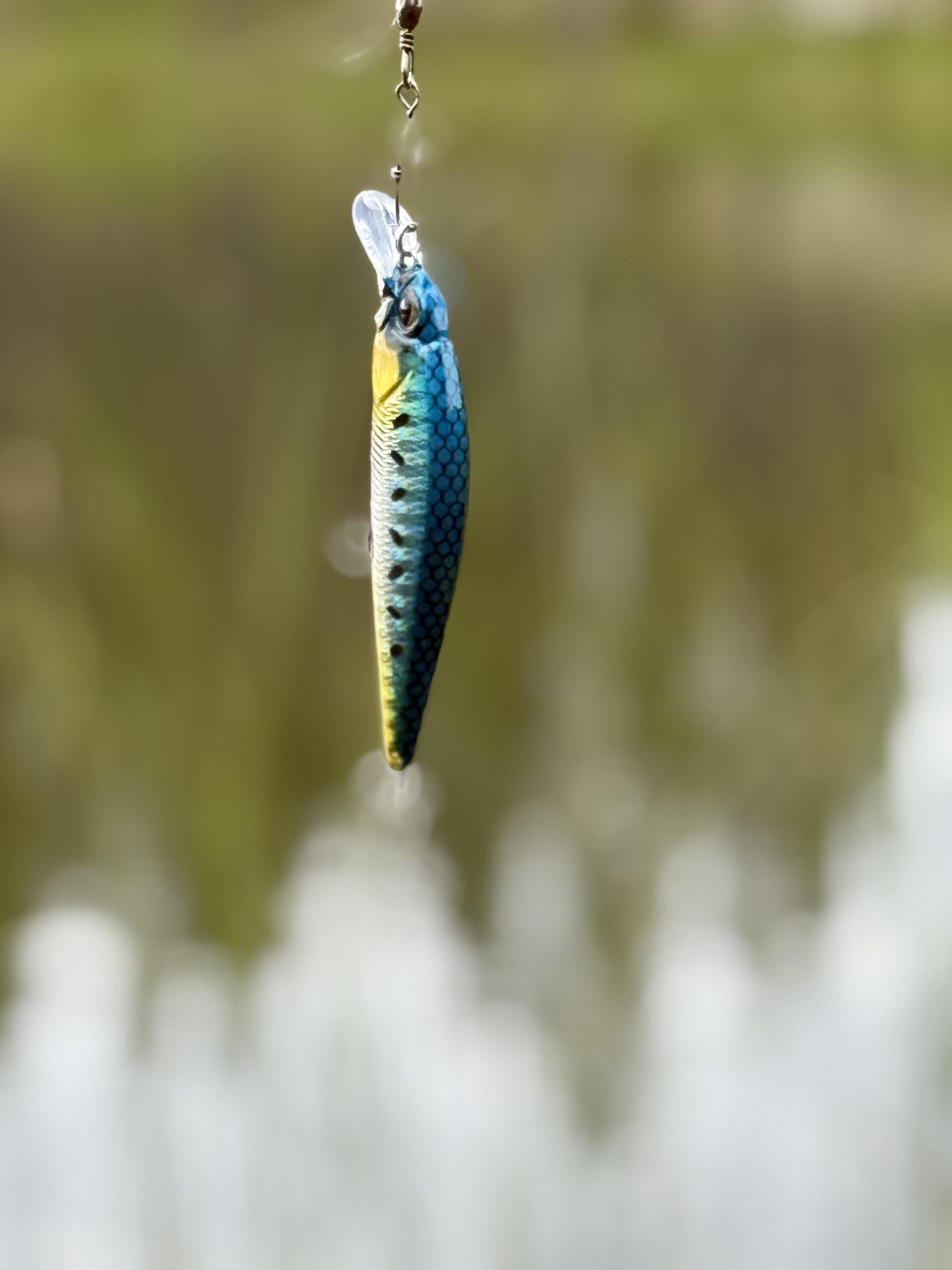 Norrfjord Wobbler 5-pack - Bild 4