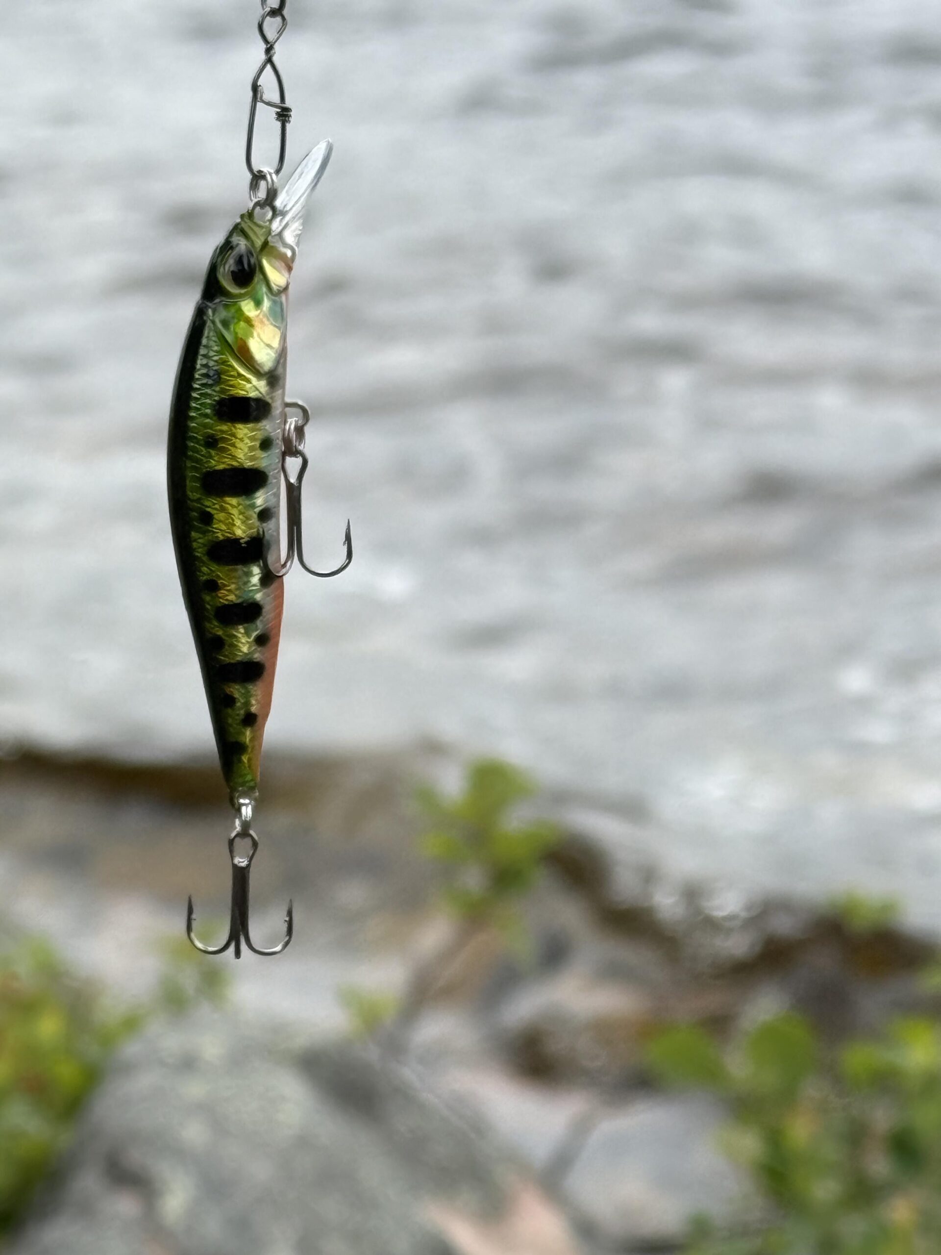 Norrfjord Wobbler 5-pack - Bild 5
